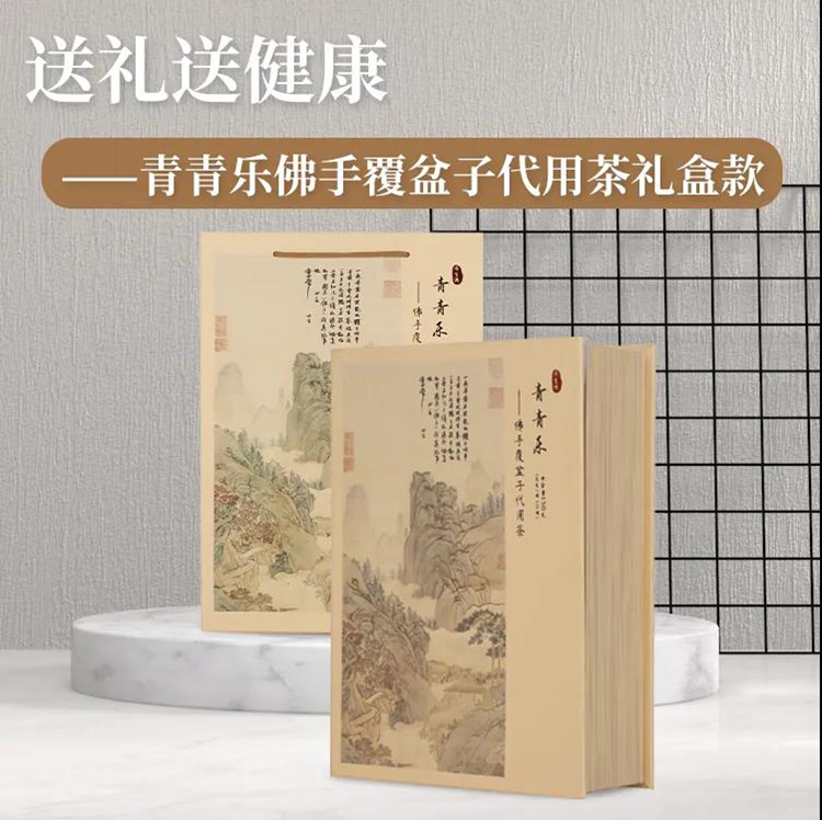 1630129227789966.jpg 04.jpg